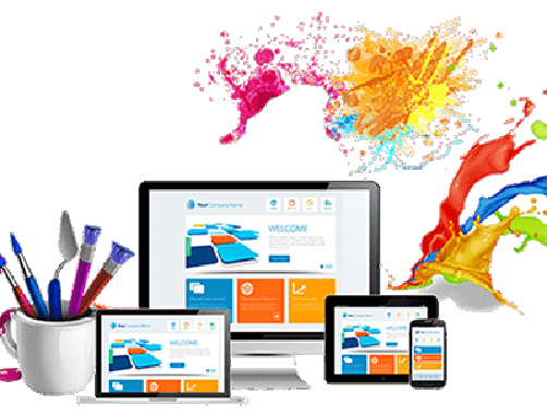 Website Design in Rewa 