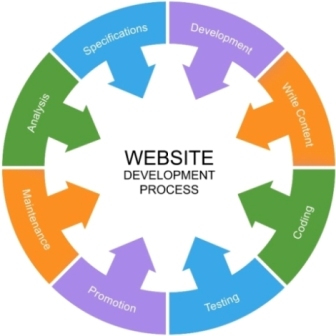 Website Design in Rewa